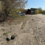 <Фотография до<br>